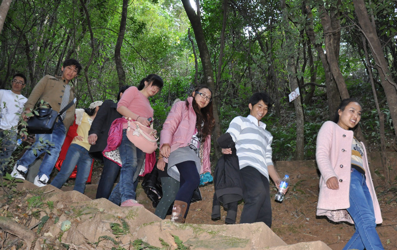 青龍峽位于昆明西郊安寧市青龍鎮(zhèn)滇中生態(tài)大峽谷中，景區(qū)有保存較為完好的植物群落，遮天蔽日的參天古木；有浪漫山花，野果飄香，還有清秀寧?kù)o的田園風(fēng)光。河谷沿岸古柳成蔭，幾十里的云南櫻花大道成為昆明郊游靚麗的風(fēng)景線。景區(qū)中溪水潺潺，千姿百態(tài)、千奇百怪的蔓藤風(fēng)光隨處可見，號(hào)稱“都市身旁的小九寨。